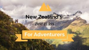 new zealands best hikes