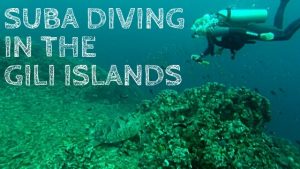 Scuba Diving in the Gili Islands