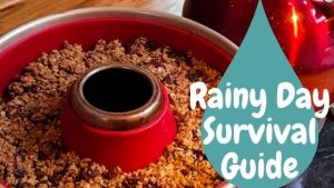 Van Life Rainy Day Survival Guide