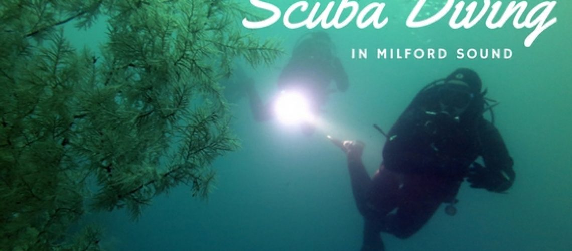 Scuba Diving in Milford Sound